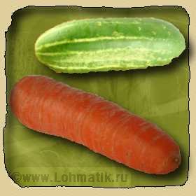 Огурец, морковка.Развитие речи