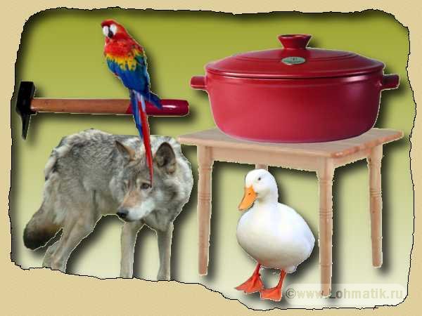 Длинные и короткие слова. Развитие речи - волк, попугай, табуретка, гусь